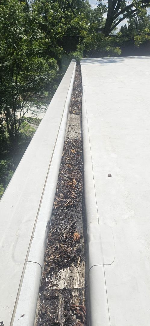 Gutter cleaning
